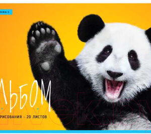 Альбом для рисования ArtSpace Животные. Funny Panda / А20ф-33623